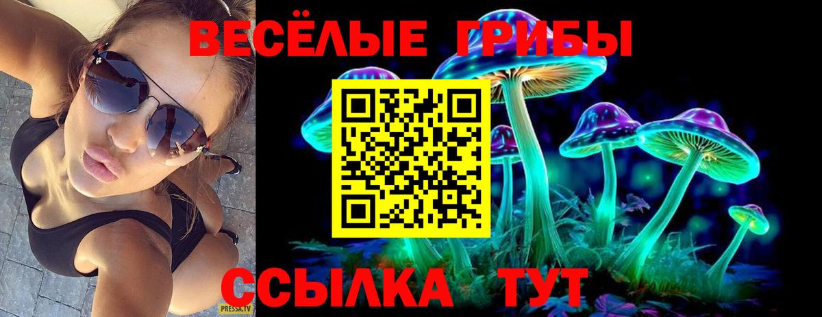 Псилоцибиновые грибы мухоморы Ярославль